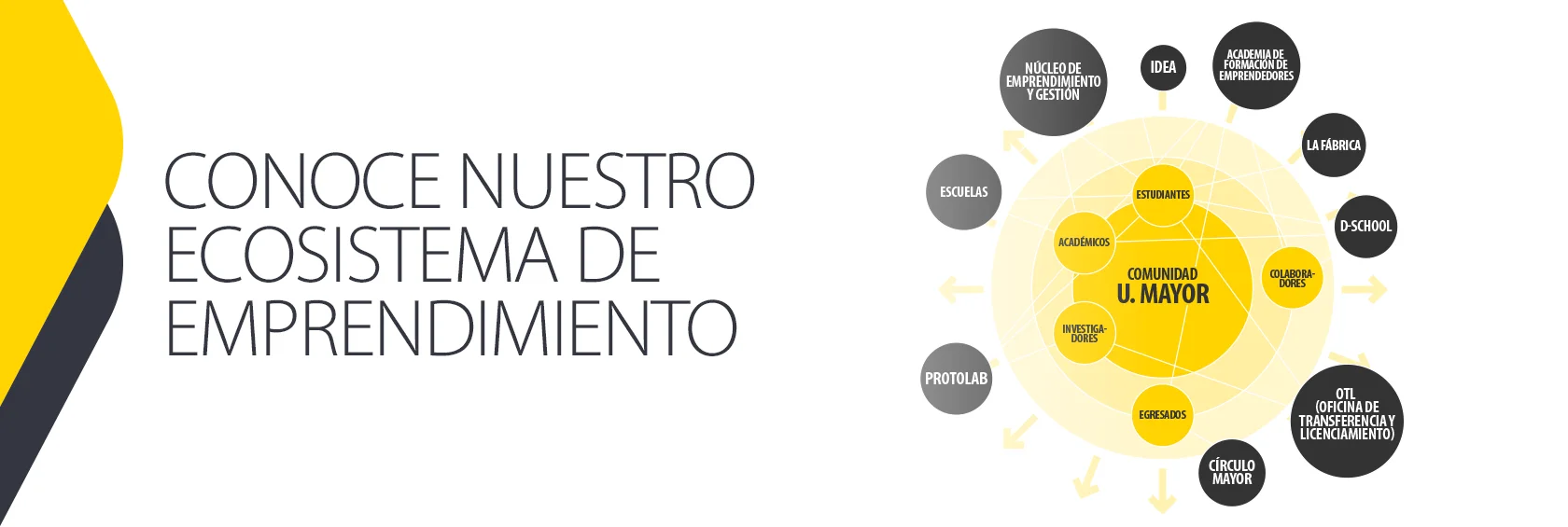 Ecosistema de Emprendimiento - Universidad Mayor