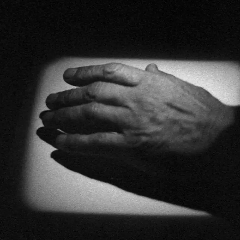 Una sombra oscilante