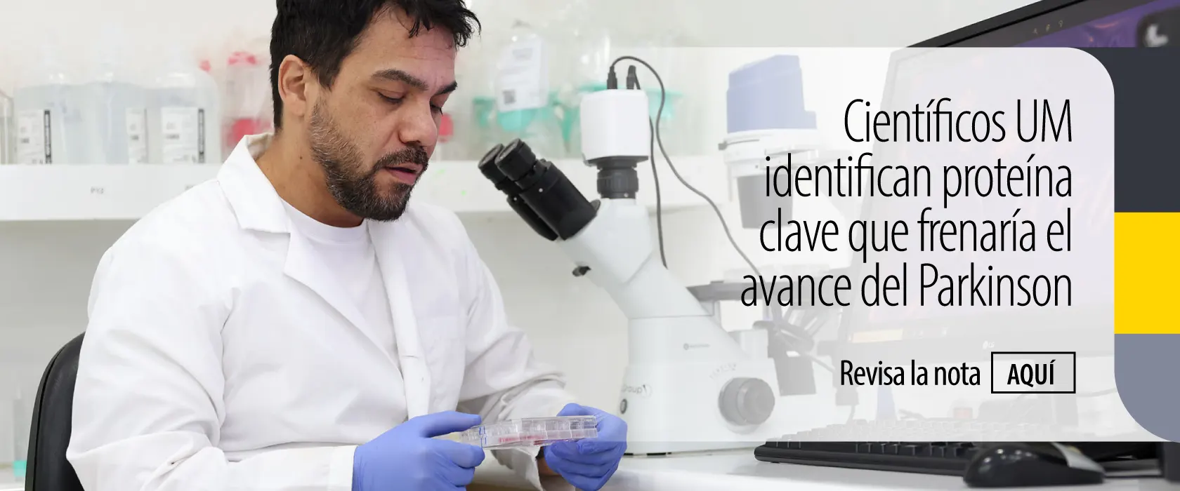 Científicos UM identifican proteína clave que frenaría el avance del Parkinson