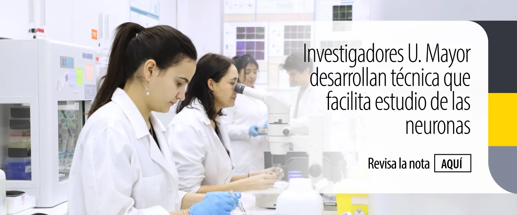 Investigadores U. Mayor desarrollan técnica que facilita estudio de las neuronas