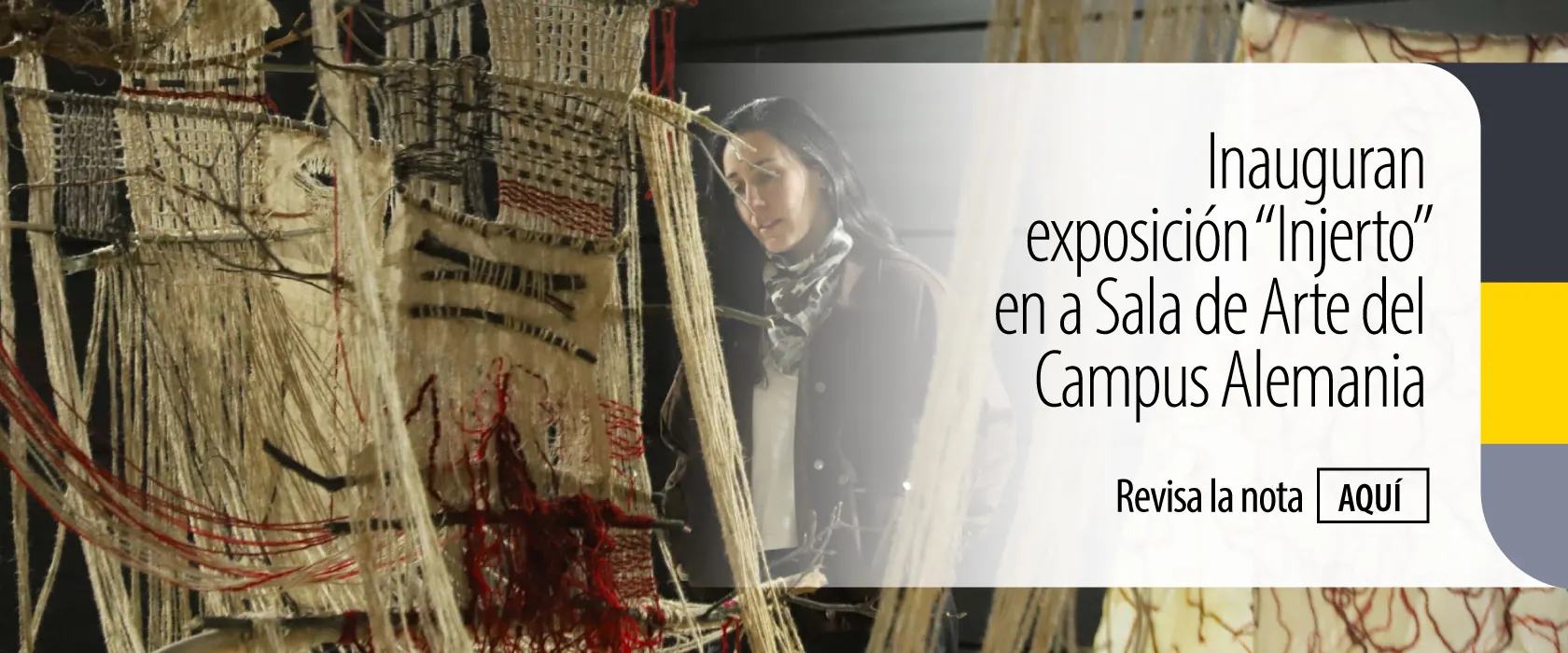 Exposición “Injerto” se inauguró en la Sala de Arte de la Universidad Mayor