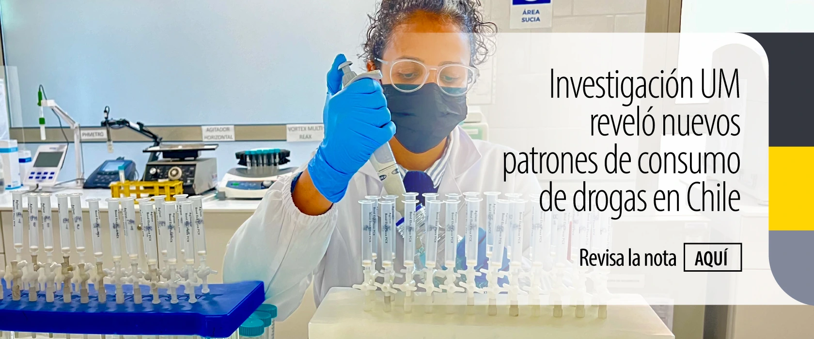 Investigación UM reveló nuevos patrones de consumo de drogas en Chile