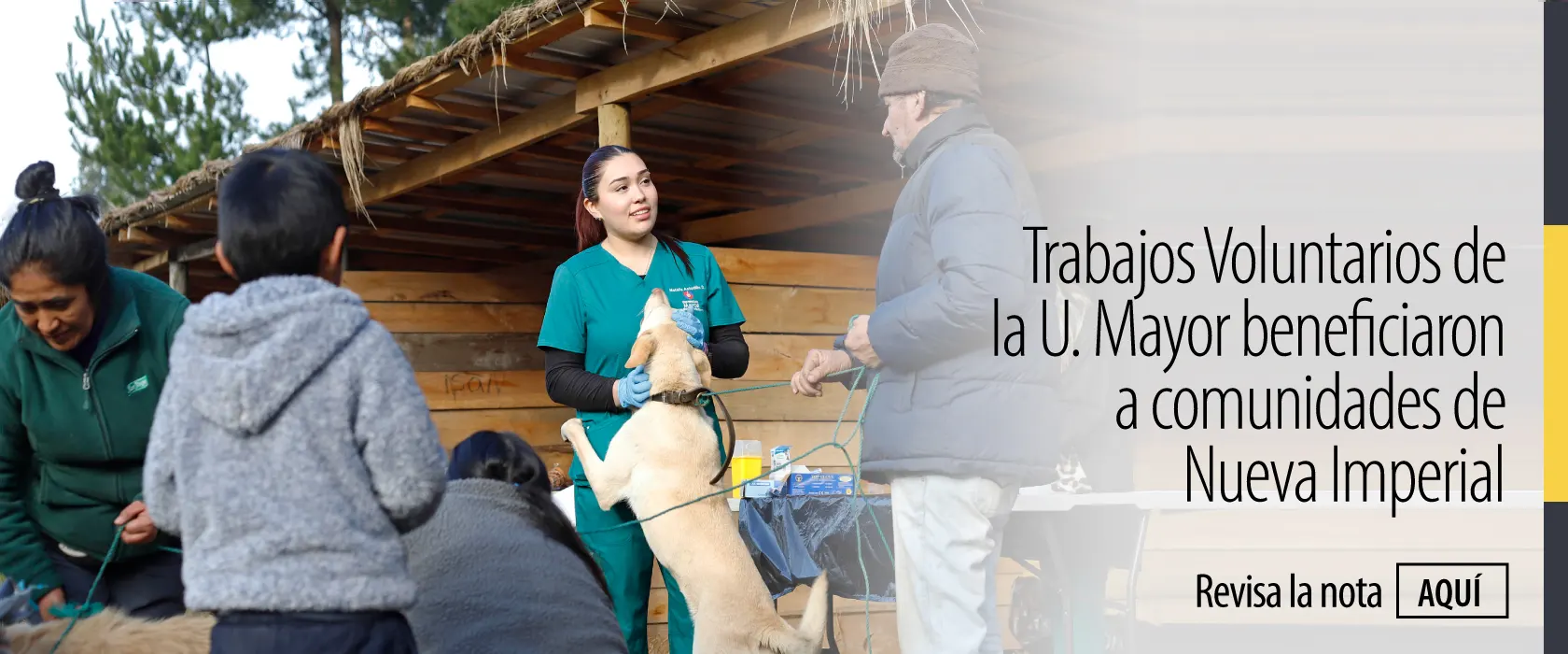 Trabajos Voluntarios