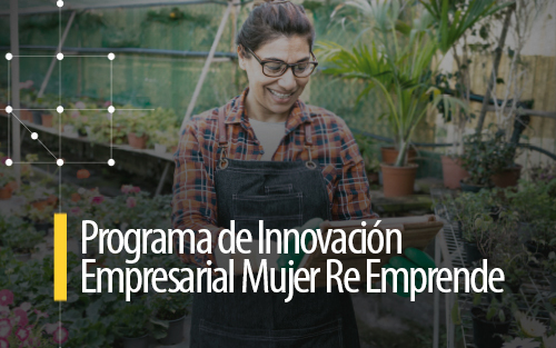Taller de Emprendimiento