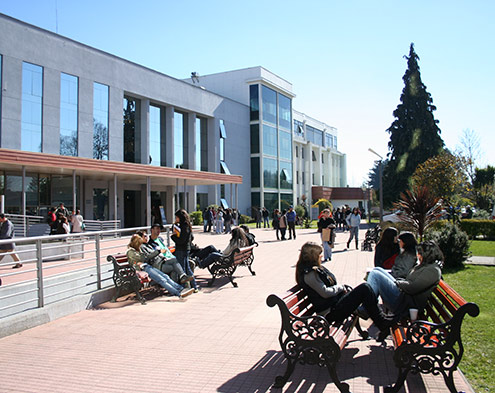 Avda Alemania-Temuco