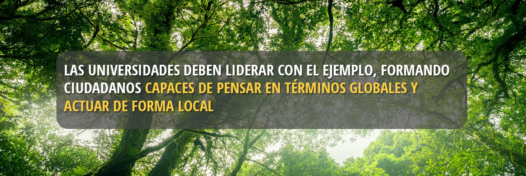 U.Mayor Sustentable